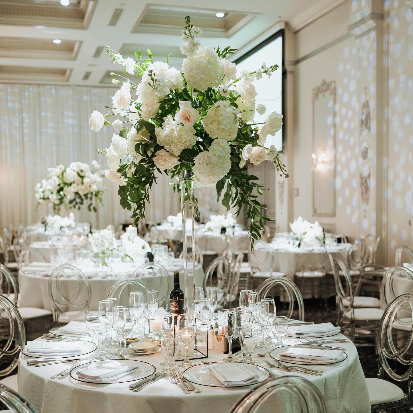 𝑪𝒆𝒍𝒆𝒃𝒓𝒂𝒕𝒊𝒏𝒈 𝒍𝒐𝒗𝒆

@timelesstreeweddings 
@have_a_seat_events 
@psletsparty